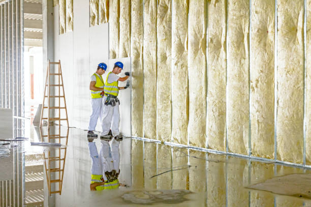 Best Eco-Friendly Insulation in Pine, AZ